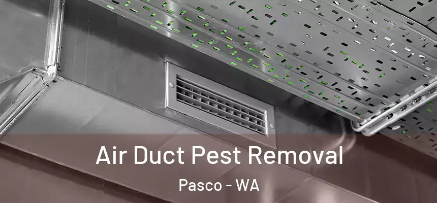 Air Duct Pest Removal Pasco - WA