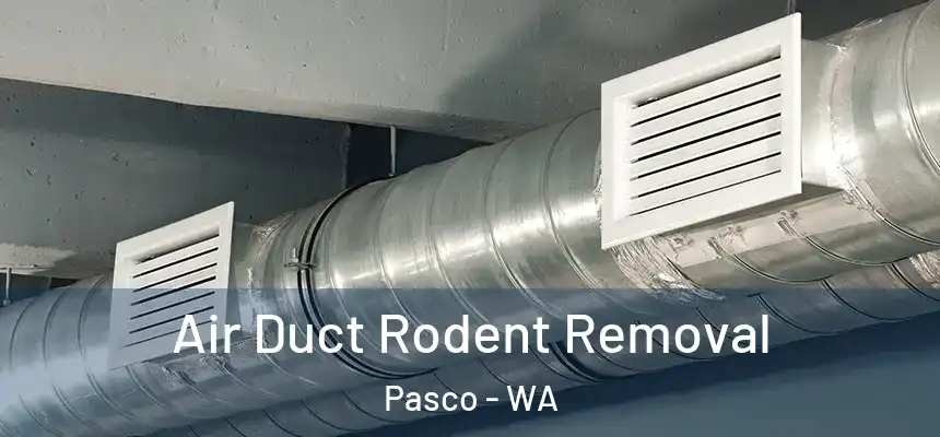 Air Duct Rodent Removal Pasco - WA