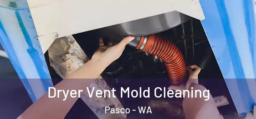 Dryer Vent Mold Cleaning Pasco - WA