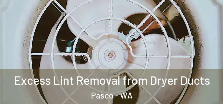 Excess Lint Removal from Dryer Ducts Pasco - WA