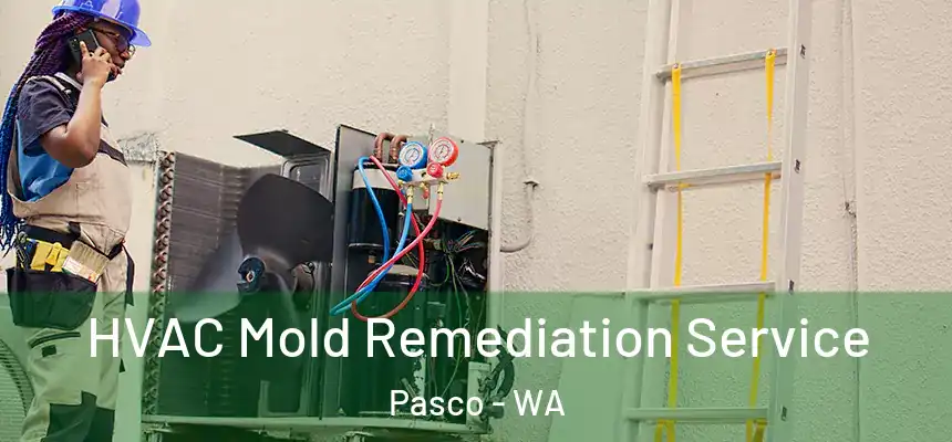  HVAC Mold Remediation Service Pasco - WA