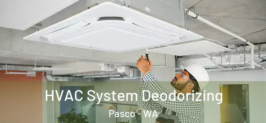 HVAC System Deodorizing Pasco - WA