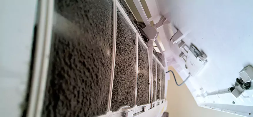 Preventive Air Duct Bacteria Removal in Pasco