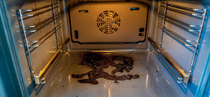 Our Dryer Vent Mold Cleaning Services in Pasco, WA