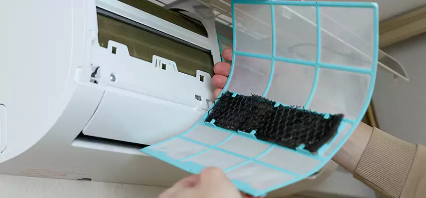 Gentle Ductwork Odor-Control Pet Dander Duct Cleaning in Pasco, WA