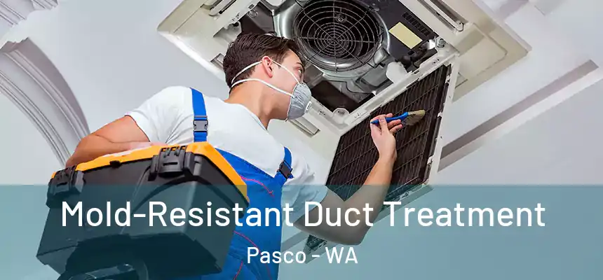 Mold-Resistant Duct Treatment Pasco - WA