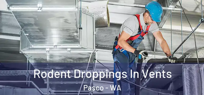  Rodent Droppings In Vents Pasco - WA