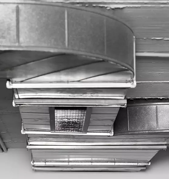 Professional Air Duct Pest Removal in Pasco, WA