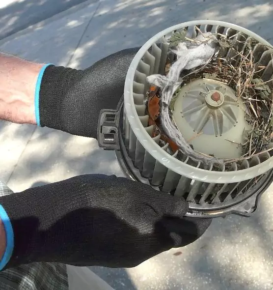 About Air Duct Rat Removal in Pasco, WA