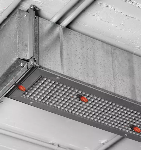 Affordable Insect Removal from Air Ducts in Pasco, WA