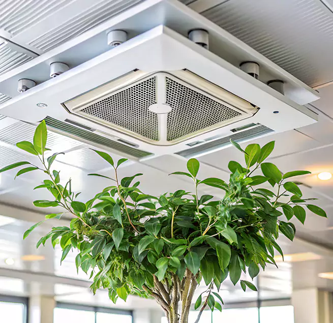 Why Homeowners & Businesses Trust Us in Pasco, WA?