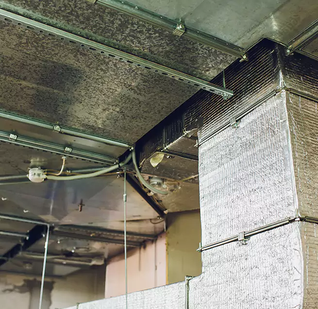 Why Homeowners & Businesses Trust Us in Pasco, WA?